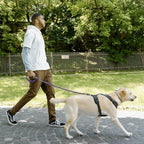 S-ETOVUS-Chain Dog Leash, Bite-Proof Metal Leash, with Padded Handle | Three Sizes 7.25FT/5.2FT/4FT, Woven From Nylon Rope And Chain, Durable And Bite-Resistant, Comfortable With Padded Handles.