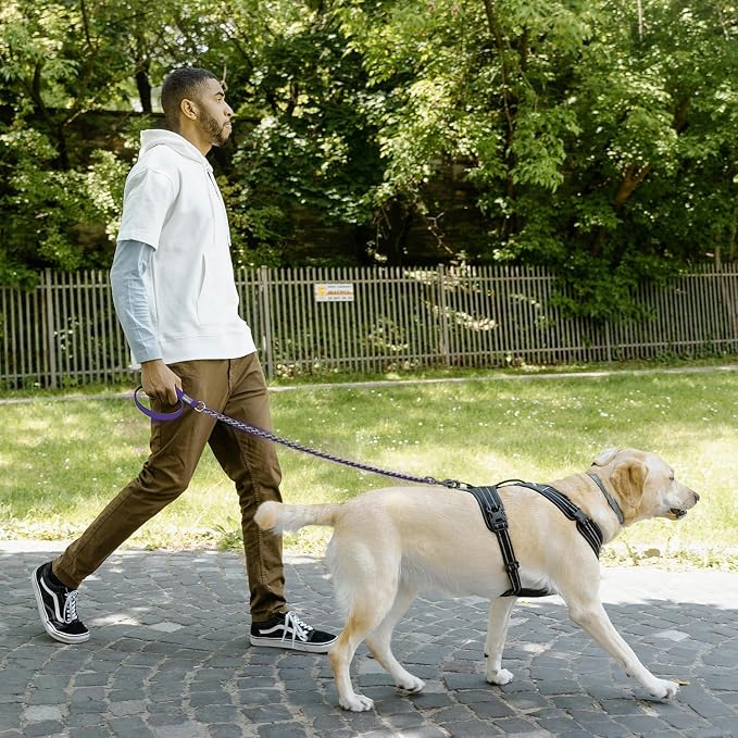 S-ETOVUS-Chain Dog Leash, Bite-Proof Metal Leash, with Padded Handle | Three Sizes 7.25FT/5.2FT/4FT, Woven From Nylon Rope And Chain, Durable And Bite-Resistant, Comfortable With Padded Handles
