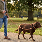 Mile High Life Dog Leash Braided Cotton Rope w/Leather-Wrapped Ends/Handle | Rust-proof 360° swivel clasp, Heavy-duty for medium/large breeds. Great for weddings, daily walks (5 FT, 1/2", Brown)