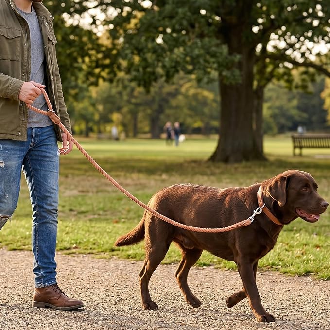 Mile High Life Dog Leash Braided Cotton Rope w/Leather-Wrapped Ends/Handle | Rust-proof 360° swivel clasp, Heavy-duty for medium/large breeds. Great for weddings, daily walks (5 FT, 1/2", Brown)