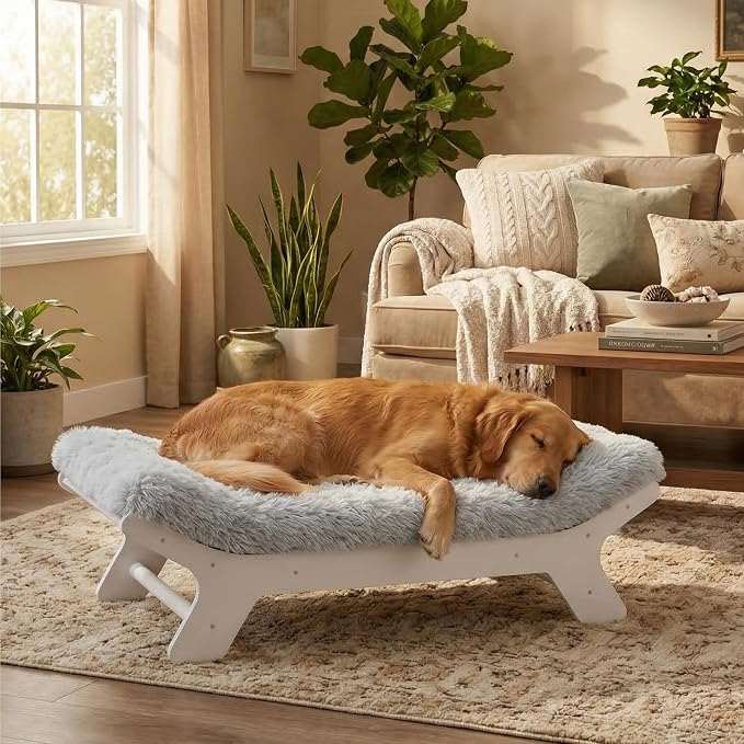 Muihood Elevated Wooden Dog Bed with Foam Mattress, White, X-Large | Raised Dog Bed with Washable Cover, Supportive Foam Mattress, Perfect for X-Large Dogs and Indoor Living