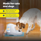 PetSafe Drinkwell Platinum Cat Fountain, Includes 12 Carbon Filters | 168 Oz Capacity, Falling Stream Encourages Drinking, Adjustable Flow, Top-Shelf Dishwasher Safe, 12 Filters Included