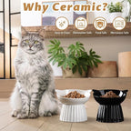 Ceramic Raised Cat Bowl，Tilted Raised Bowl Anti Vomit Bowls for Indoor Cats Whisker Friendly Pet Feeder for Cats Puppies, Microwave and Dishwasher Safe