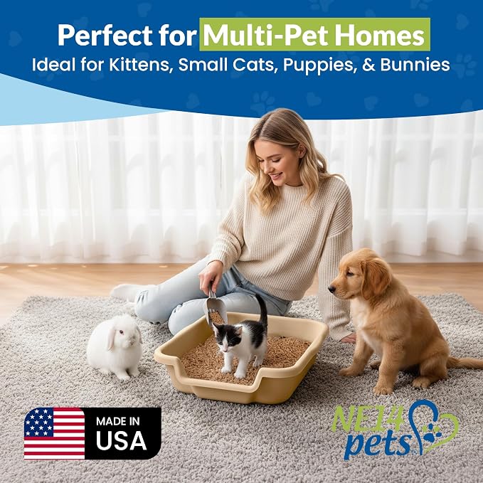KittyGohere Senior Cat Litter Box Small with Scoop, Beach Sand | Open Top Low Entrance Kitty Litter Box With With Long-handle Jumbo Scoop, Lightweight & Durable Litters Box, Made in USA