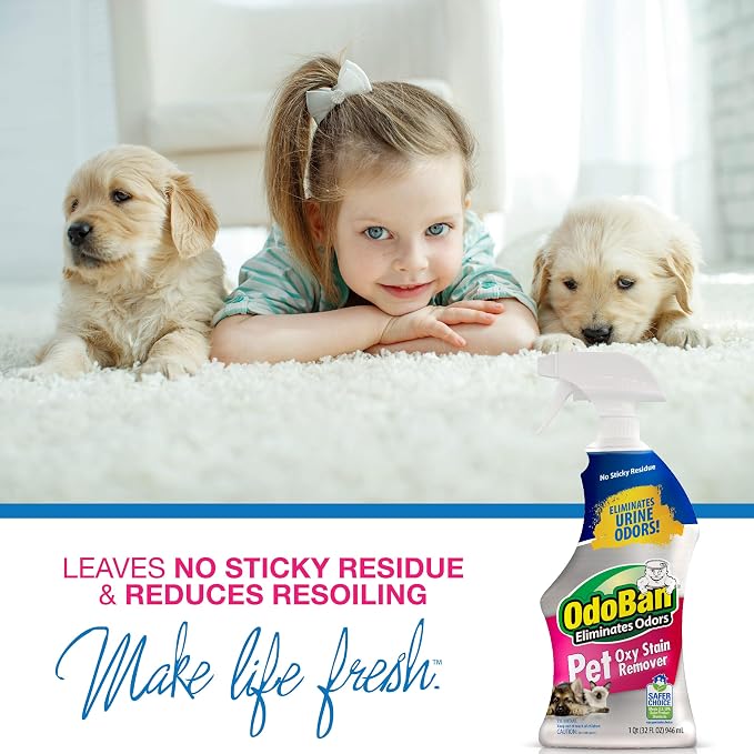 OdoBan Pet Solutions Oxy Stain Remover, Made in the USA, 2-Pack, 32 Ounce Sprays Each, and Neutral pH Floor Cleaner Concentrate, 1 Gallon