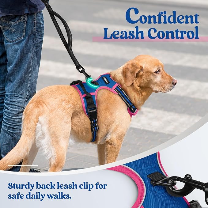 rabbitgoo Dog Harness, No Pull for Large Dogs with 2 Leash Clips, Pet Vest | No Choke with Handle, Adjustable Soft Padded, Reflective, Easy Control for Walking, Blue & Hot Pink, X-Large