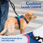 rabbitgoo Dog Harness, No Pull for Large Dogs with 2 Leash Clips, Pet Vest | No Choke with Handle, Adjustable Soft Padded, Reflective, Easy Control for Walking, Blue & Hot Pink, X-Large