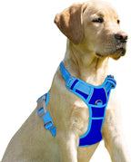 BARKBAY No Pull Dog Harness Front Clip Heavy Duty Reflective Easy Control Handle for Large Dog Walking(Sapphire Blue & Blue,M)