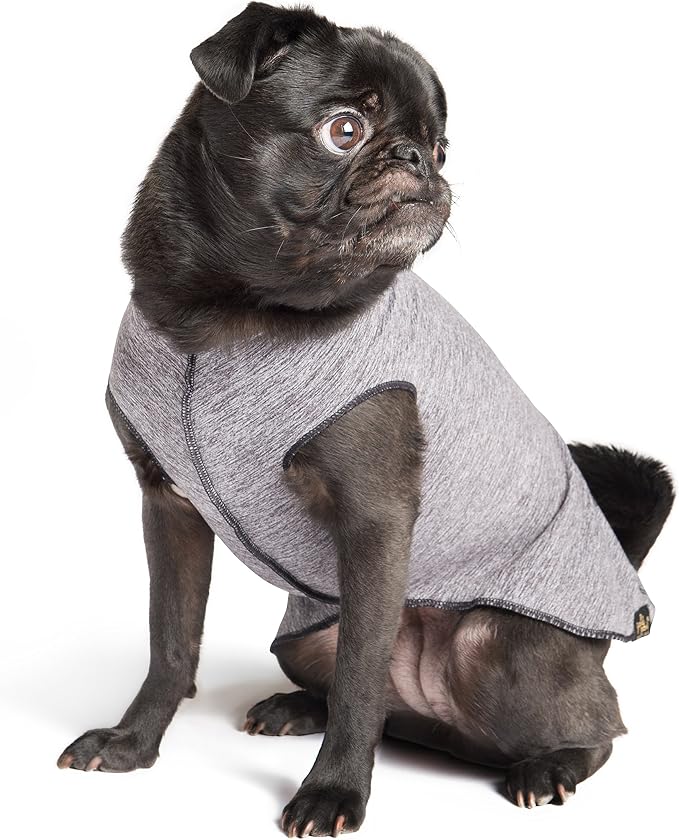Gold Paw Sun Shield Dog Tee – T-Shirt for Canines – UV Protection, Pet Anxiety Relief, Wound Care – Protects Against Foxtails, Aids Alopecia - Machine Washable, All Season – Size 2 – Grey