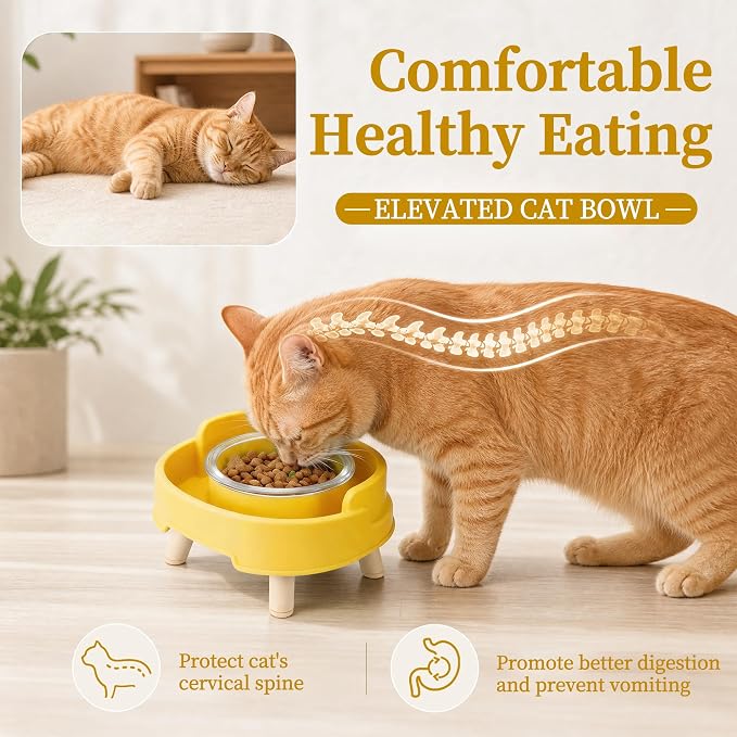 Ant Proof Cat Food Bowl, Elevated Cat Feeding Bowl, Yellow 2pcs | Prevents Ants from Entering and Reduces Neck Stress, Non-Slip Elevated Cat Feeding Bowl