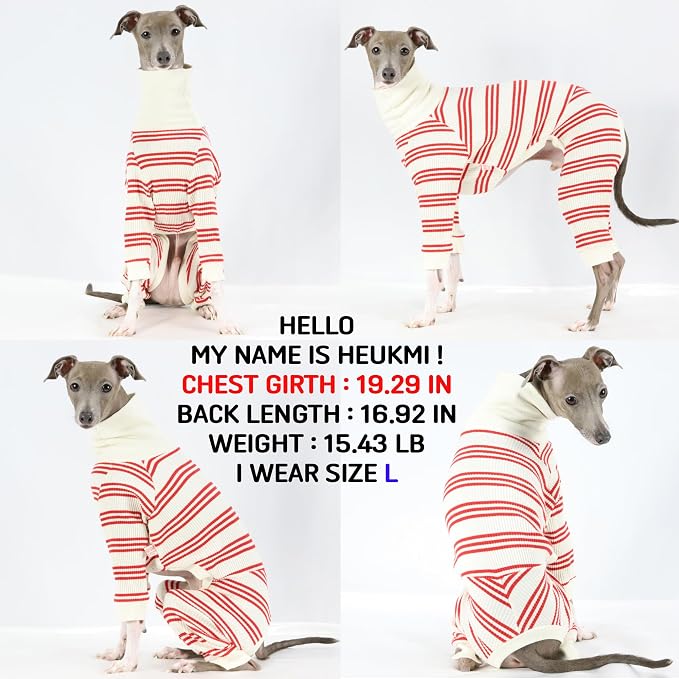 D Doggy Star Italian Greyhound Clothes Soft Stretchy Onesie Refined Stripe Outfit Whippet for Dog Coat (L,Onsi Red Str)