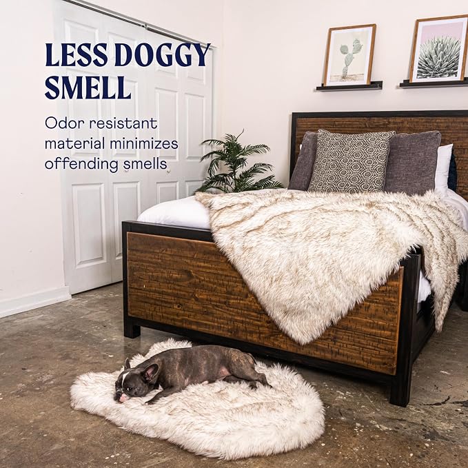 PAW Brands PupRug Orthopedic Memory Foam Dog Bed, White/Brown, 40x25 | Waterproof memory foam bed with washable cover — joint support for medium dogs