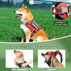 Service Dog Vest Harness and Leash Set+10 Patches,No Pull&Adjustable Reflective Dog Harness with Soft Padded Handle for Training/Everyday,Fit Small/Medium/Large/Extra-Large Dogs(Red XL) | No Pull&Adjustable Reflective Service Dog Harness Large Sized,Do...
