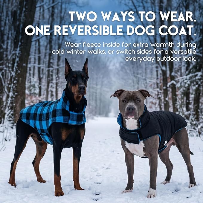 ASENKU Reversible Dog Winter Coat, Dog Jacket for Small Medium Large Dogs | Windproof Plaid Fleece Lining for Cold Weather, Water-resistant Outer Shell, Puppy Puffer Vest with Leash Hole, Blue S