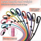 FOVRLZSE Nylon Dog Leash 11-Pack (11 Assorted Colors), 4.6FT for Small to Medium Dogs, 10mm Braided Nylon with TPU Non-Slip Buckle, Daily Walking & Puppy Training