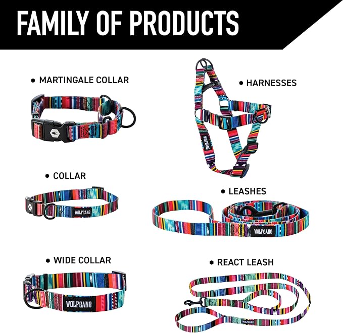 Wolfgang Heavy Duty Dog Leash, Pull-Tested to Over 800 lbs for Walking & Training, Quetzal Print, Small