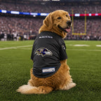 Littlearth NFL Baltimore Ravens Stretch Pet Jersey, Team Color, Medium