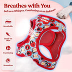 rabbitgoo Dog Harness Small Sized and Leash Set, Step-in Puppy Pet Vest | Light, Soft, Breathable Air Mesh, Easy on and Remove with Hook & Loop, Secure Reflective for Walking, Apple Pups XS