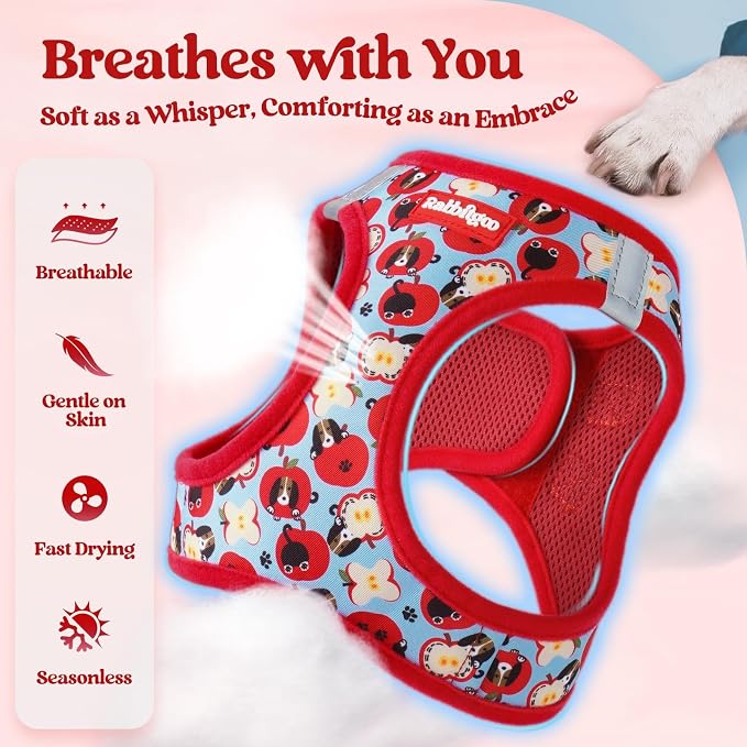 rabbitgoo Dog Harness Small Sized and Leash Set, Step-in Puppy Pet Vest | Light, Soft, Breathable Air Mesh, Easy on and Remove with Hook & Loop, Secure Reflective for Walking, Apple Pups M