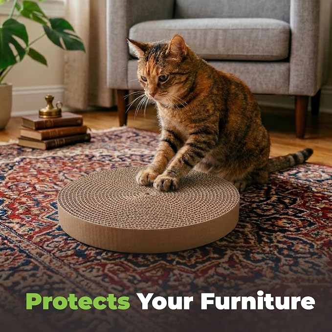 Catify Spin n' Scratch Cat Scratch Pad Refill - Round, 3-Pack | Corrugated Cardboard, Double Sided Cat Scratching Pad, Indoor Furniture Protector, Durable, For Kittens and Cats,