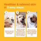 Douxo S3 PYO Medicated Dog Shampoo with 3% Chlorhexidine for Dogs – Antibacterial & Antiseptic Yeast Infection Treatment For Dogs & Cats, Clinically Proven, 6.7 fl oz | Antibacterial & Antiseptic Yeast Infection Treatment For Dogs & Cats, Clinically Pr...