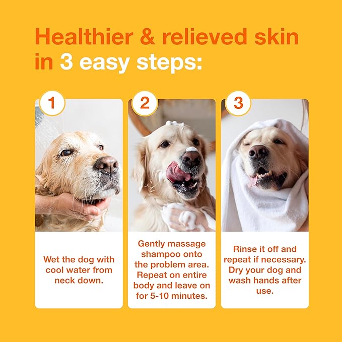 Douxo S3 PYO Chlorhexidine Shampoo For Dogs, Medicated Shampoo Antibacterial & Antiseptic, Yeast Infection Treatment for Dogs & Cats, Clinically Proven, 16.9 fl oz | Medicated Shampoo Antibacterial & Antiseptic, Yeast Infection Treatment for Dogs & Cat...