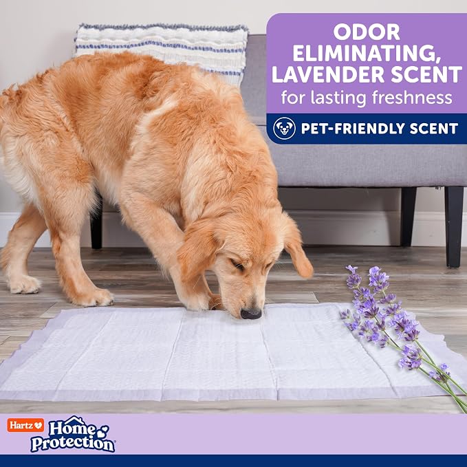 Hartz Home Protection Lavender Scented Odor Eliminating Dog Pads, 50 Count