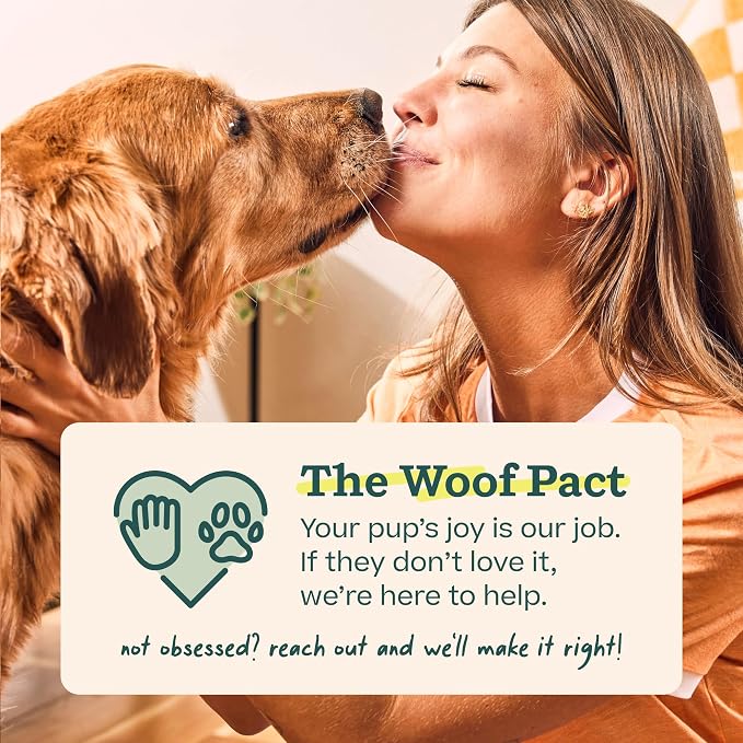 WOOF Party Pupsicle - Long-Lasting Interactive Dog Toys for Boredom - Low-Mess Design - Birthday Gifts for Dogs - Small Dog Toys - Party Pink