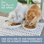 The Cat Ladies Ceramic Cat Bowls - Whisker Friendly Food Bowl - Cute Pet, Kitten Plates - Dishes for Indoor Cats - Dish for Wet Food & Water - Platos para Gatos - Calico, Set of 2