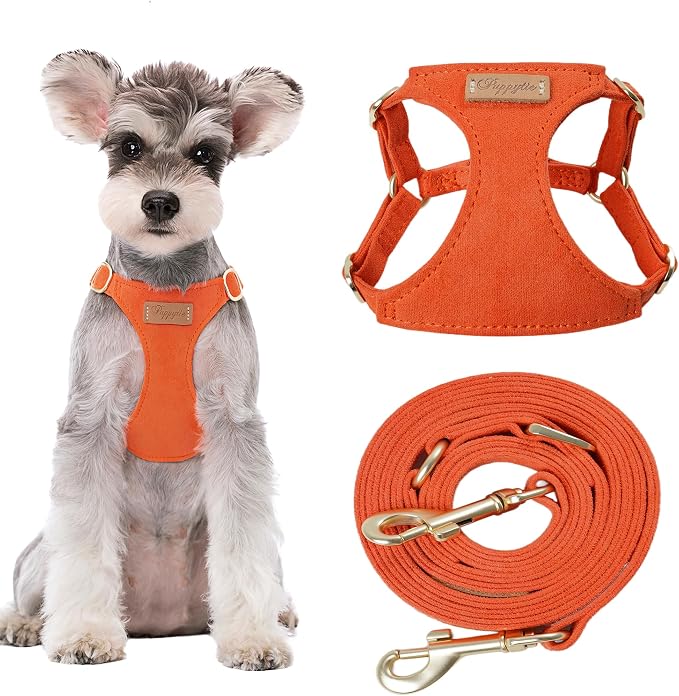 Puppytie Small Dog Harness with Multifunction Dog Leash,Lightweight Soft Adjustable No Choke Escape Proof Pet Harness Vest Pet Harness Vest,Orange,S