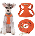 Puppytie Dog Harness and Leash Set, Orange, M (16.5-31 lbs) | Harness Small Size Dog, Dog Leash for Small Dogs, Soft Lightweight and Adjustable, Small Dog Harness for Daily Walks