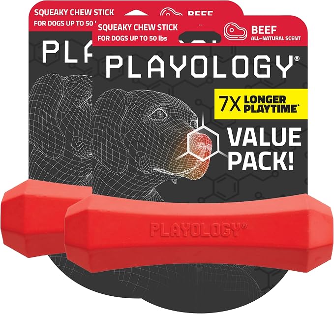 Playology Dog Toys | Squeaky Chew Stick for Dogs, Value 2-Pack | Beef Scented Medium Fetch Toy | Squeaky Dog Chew Toy