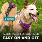 Embark Adventure Large Dog Harness – No-Pull, Reflective Trim, Military-Grade Nylon, Front Clip with Gel-Lined Handle