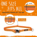 Mighty Paw Hands Free Dog Leash | Bungee Waist Leash for Dog Walking. Pet Running Hands Free Tether for Large, Medium & Small Breeds. Pet Waist Belt (36" - 48") Up to 150 lbs - Orange