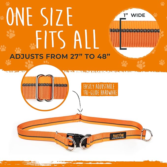 Mighty Paw Hands Free Dog Leash | Bungee Waist Leash for Dog Walking. Pet Running Hands Free Tether for Large, Medium & Small Breeds. Pet Waist Belt (36" - 48") Up to 150 lbs - Orange