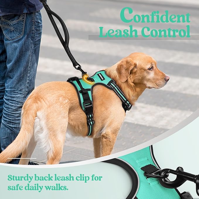 rabbitgoo Dog Harness, No Pull for Large Dogs with 2 Leash Clips, Pet Vest | No Choke with Handle, Adjustable Soft Padded, Reflective, Easy Control for Walking, Turquoise, X-Large