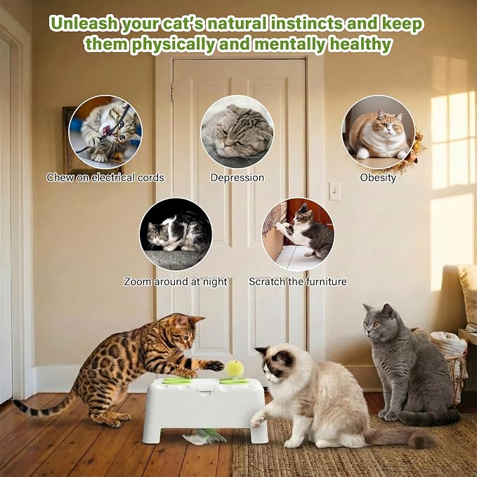 Magic House Cat Toy, Rechargeable Whack-a-Mole Feather Toy | 3 Play Modes, 4 Holes Design, 4 Replacement Accessories, Ideal for Indoor Cats Entertainment