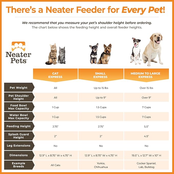 Neater Feeder Express Mess Proof Cat Bowls Elevated, No Spill Feeding Station, Stainless Steel Dishes for Food and Water, Raised Bowls for Indoor Cats, No Fatigue Whisker Friendly Dish, Black