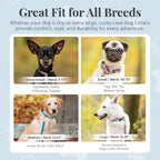 Lucky Love Dog - Adjustable Dog Collar with Easy Click Buckle for Medium Dogs, Durable, & Comfortable for Male & Female Dogs, Pet Collar for Puppies & Adult Ones - Penny, Medium