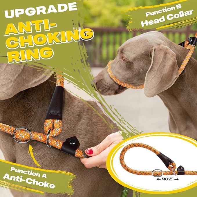 Fida Durable Slip Lead Dog Leash Bulk Pack of 5, Heavy Duty 1/2" x 6 FT Comfortable Strong Rope Slip Lead for Large, Medium Dogs No Pulling Pet Training Leash with Highly Reflective (Orange)