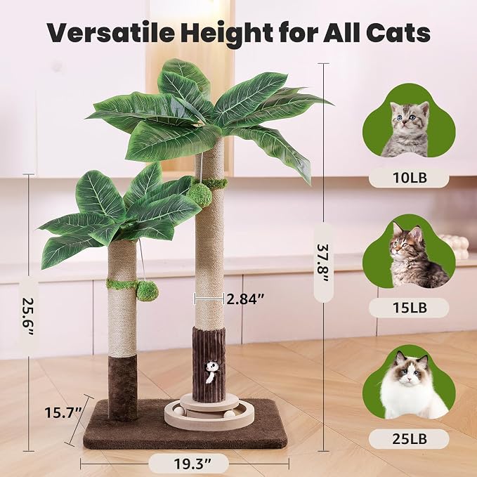 Woochpet Palm Tree Cat Scratching Post Dual Height Brown | Natural Sisal Wrapped Poles, Hanging Plush Balls, Bottom Roller Ball Track, Hidden Peek Hole