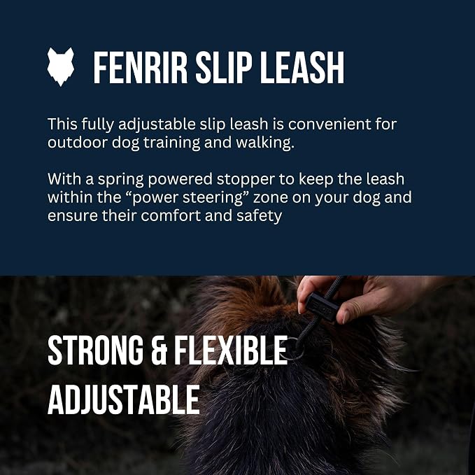 Fenrir Slip Leash 1.4m Professional Dog Training Lead to Stop Pulling, Perfect for Walks, Easy to Use, Spring Loaded Stopper, Light Weight and Durable (Green)