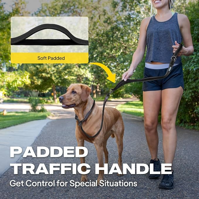 Fida 2-in-1 Slip Lead Dog Leash with 2 Handles, 6FT Training Leash, Black | No Collar Needed, Tangle Free, Soft Padded Handles, Traffic Control,Reflective Heavy Duty No Pull Leash for Medium-Large Dogs