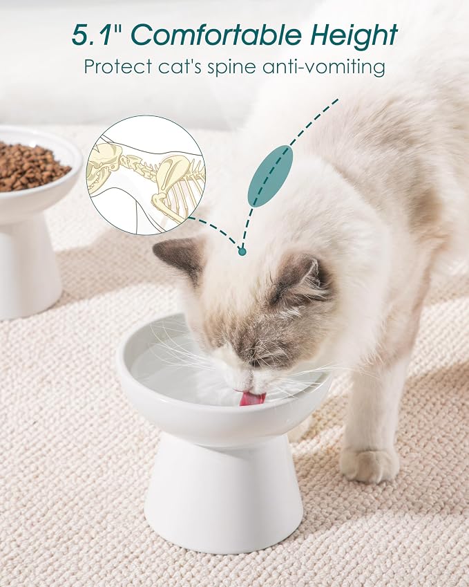 vancasso Extra Wide Elevated Cat Bowls 2-Pack, Shallow Ceramic Raised Cat Food and Water Bowls with 5.1" Height & 6.2" Wide - Anti Vomiting, Whisker Friendly for Senior Cats, and Small Dogs (White)