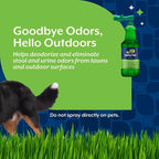 NaturVet Yard Odor Eliminator for Outdoor Dog Odors- 32 oz | Yard Odor Eliminator for Dogs - Designed for use on Grass, Plants, Patios, Gravel, Concrete & More, Ready-to-Use with Nozzle