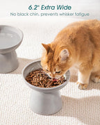 vancasso Ceramic Elevated Cat Bowls 2-Pack - 6.2" Extra Wide Raised Cat Food & Water Dishes, 5.1" Optimal Height Anti-Whisker Fatigue Shallow Bowls for Cats/Kittens/Dogs, Lead & Cadmium Free (Grey)
