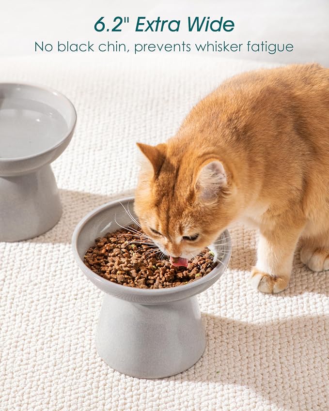 vancasso Ceramic Elevated Cat Bowls 2-Pack - 6.2" Extra Wide Raised Cat Food & Water Dishes, 5.1" Optimal Height Anti-Whisker Fatigue Shallow Bowls for Cats/Kittens/Dogs, Lead & Cadmium Free (Grey)