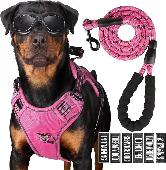 Service Dog Tactical Vest Harness and Leash Set Large Sized Dog Emotional Support- Tactical Dog Harness Training Collar with Name (Rose Red, XL)