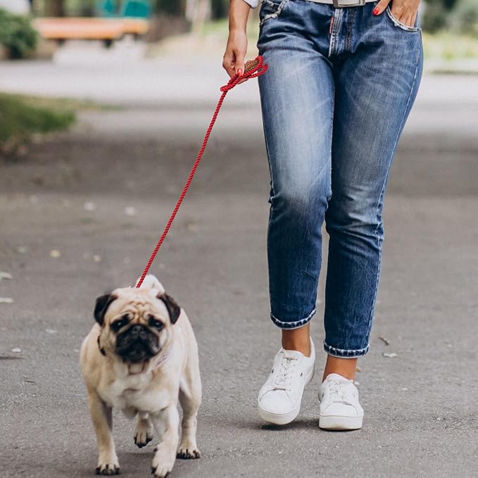 Mile High Life Dog Leash Braided Cotton Rope with Leather-Reinforced Ends | Rust-proof 360° swivel clasp, Heavy-duty for small/medium breeds. Great for weddings, daily walks (4 FT, 1/3", Red)