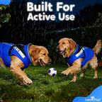 Waterproof Dog Rain Coat, Reflective Safety Strips & Leash Hole – Lightweight Adjustable Jacket for Medium Breeds - XXL, Blue
